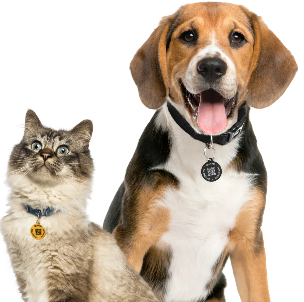 dog and cat wearing houdinitags, smart tag for pets